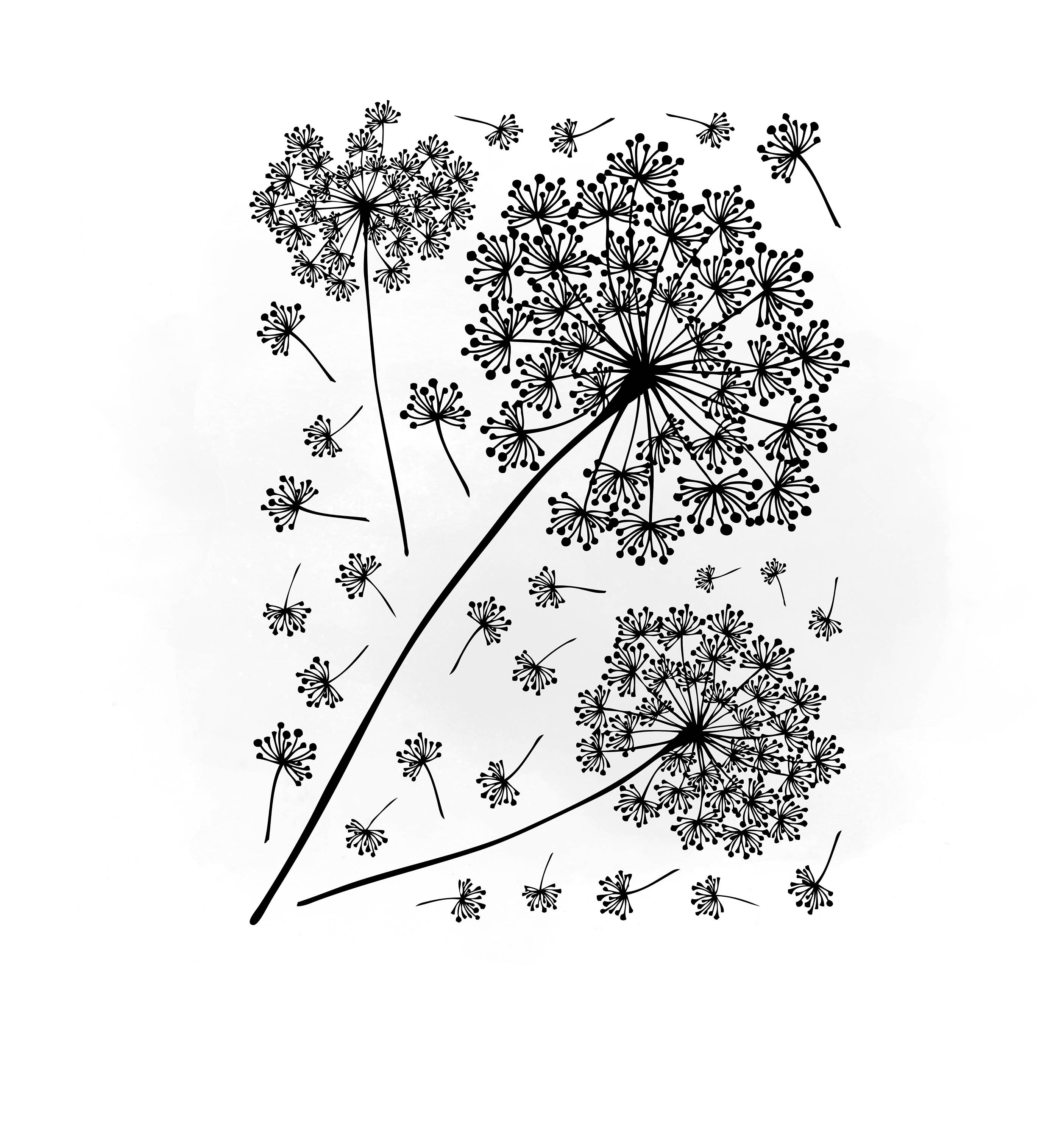 Download Dandelions Svg clipart Dandelions Svg For Silhouette Svg ...