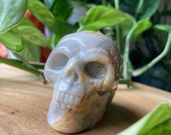 Crazy Lace Agate | Crystal Skull - Crystal Carving - Halloween Crystals