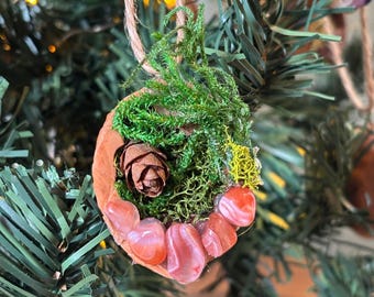 Carnelian and Pinecone Walnut Ornament