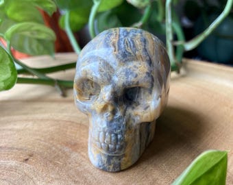Crazy Lace Agate | Crystal Skull - Crystal Carving - Halloween Crystals