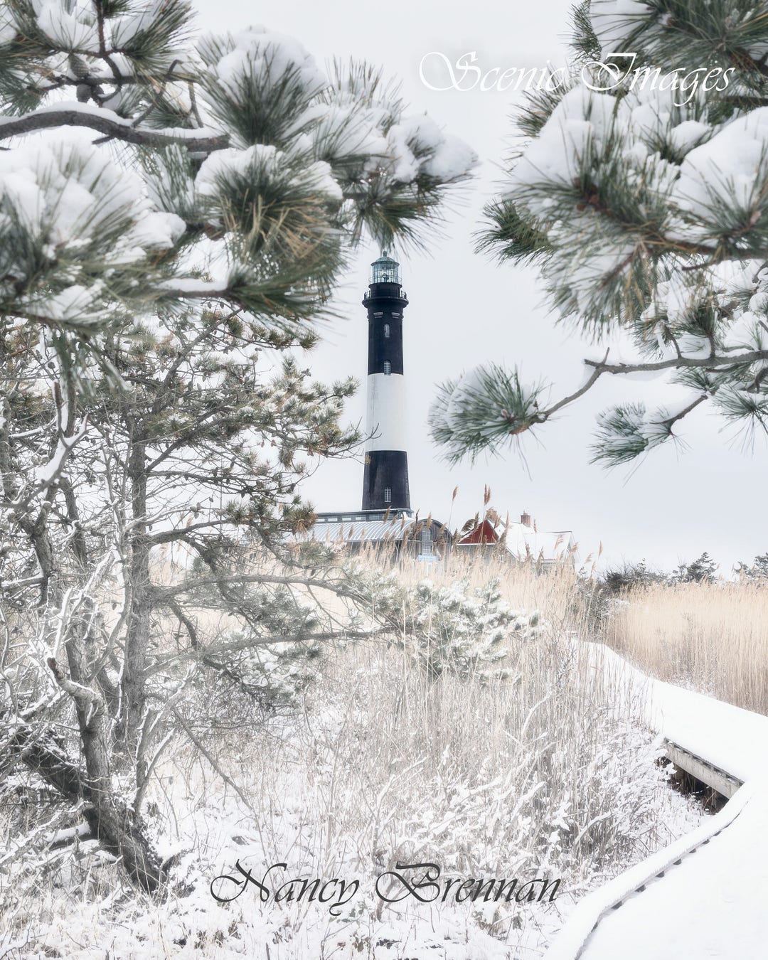 Winter At Fire Island Lighthouse Framed By Pine Trees Etsy winter-at-fire-island-lighthouse-framed-by-pine-trees-etsy