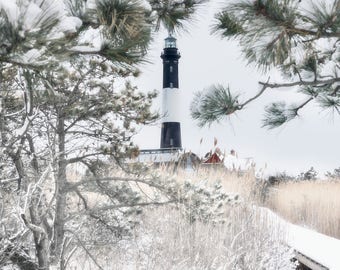 Winter at Fire Island Lighthouse: Framed by Pine Trees