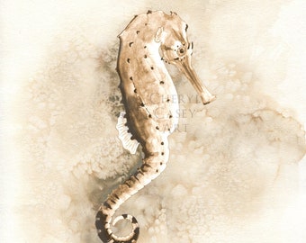 Sea Horse Art Print, Coastal Wall Art, Neutral Beach Print from Watercolor Painting by Cheryl Casey, sandy beach art decor