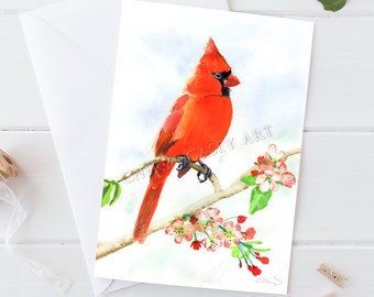 Cardinal Greeting Cards Pack, Cardinal on Apple Blossom Limb, from watercolor by Cheryl Casey, blank inside, greeting cards and notecards