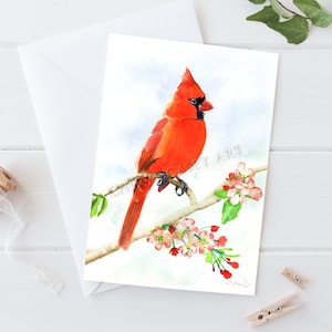 Cardinal Greeting Cards Pack, Kardinal auf Apfelblüte, nach Aquarell von Cheryl Casey, blanko innen, Grußkarten und Notizkarten