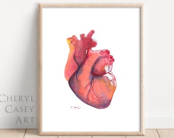 Anatomical Heart Art Print from Watercolor Painting by Cheryl Casey, anatomy art wall decor, human heart cardiology office decor