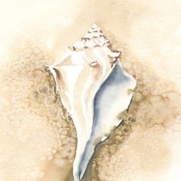 Seashell Art Decor, Coastal Wall Art, Neutral Beach Print from Watercolor Painting by Cheryl Casey, Lightning Whelk sea shell