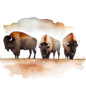 Bison American Buffalo Art Print from Watercolor Painting by Cheryl Casey, Three Buffalo image 1