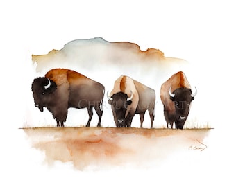 Bison American Buffalo Art Print from Watercolor Painting by Cheryl Casey, Three Buffalo