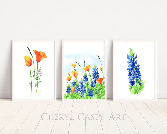 Bluebonnets and Poppies Art Print Set of 3, from Watercolor Painting by Cheryl Casey, Texas Bluebonnets, California Poppies