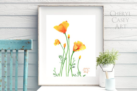 California Poppy Print, Poppies Watercolor Art by Cheryl Casey, Orange Wildflower