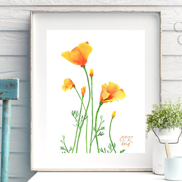 California Poppy Print, Poppies Watercolor Art by Cheryl Casey, Orange Wildflower