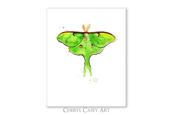 Luna Moth Art Print from Watercolor Painting by Cheryl Casey, Signed Print