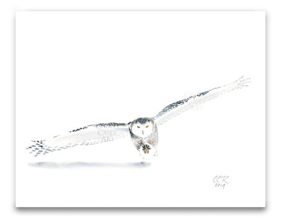Owl Print, Art from Watercolor Painting by Cheryl Casey, Minimalist Gray White Snowy Owl Flying