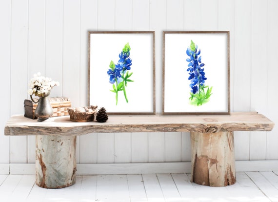 Bluebonnet Art Print, Set of 2, from Watercolor Bluebonnet Paintings by Cheryl Casey, minimalist blue flowers