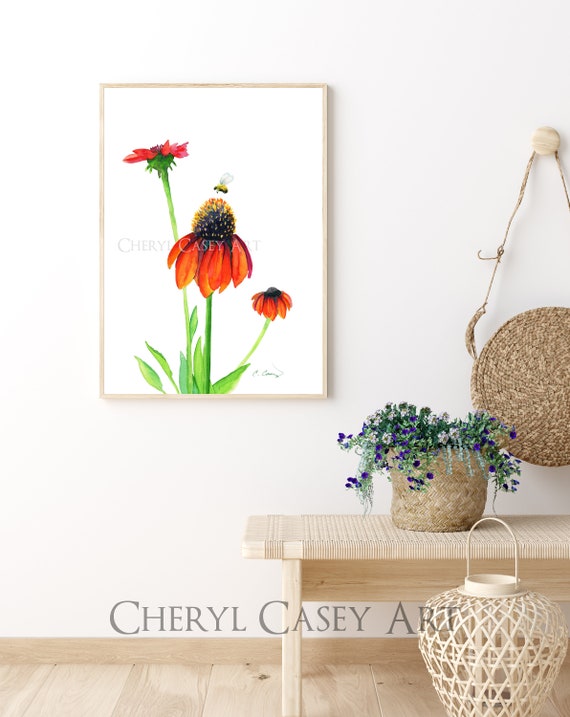 Red Coneflower and Bee Art Print from Watercolor Painting by Cheryl Casey, Signed Print, echinacea mothers day gift garden plant wall decor