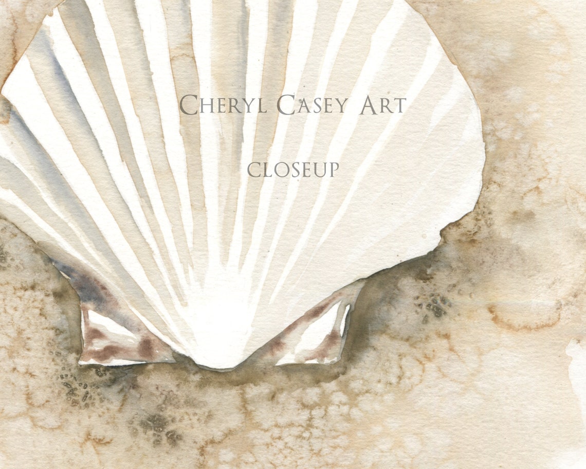 Seashell Art Decor Set of 2, Coastal Wall Art Set, Neutral Beach Prints ...