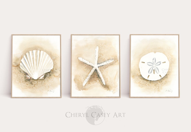 Seashell Art Decor Set of 3, Coastal Wall Art Set, Neutral Beach Prints ...