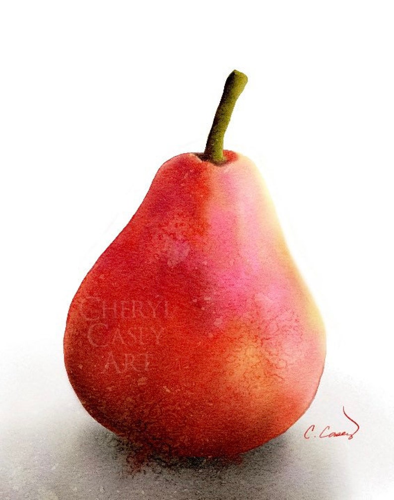 Red Pear Still Life Art Print from Watercolor Painting by Cheryl Casey, Dramatic Art, Fruit Art Print image 1