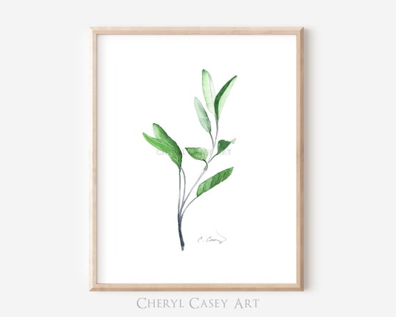 Eucalyptus Sage Wall Art Print from Minimalist Watercolor Painting by Cheryl Casey, green botanical plant wall decor