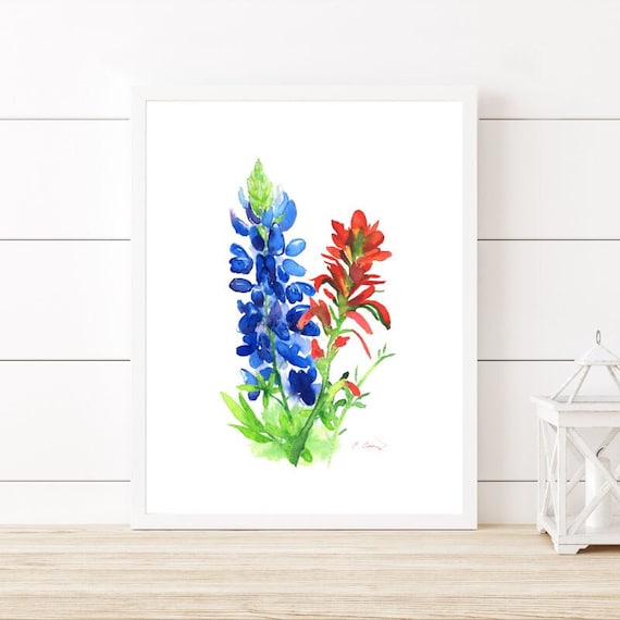 Texas Bluebonnet Indian Paintbrush Art Print from Watercolor Painting by Cheryl Casey, blue and red wildflowers, simple clean minimalist