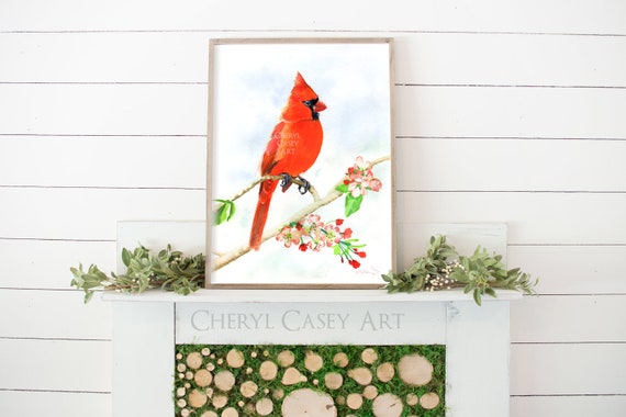 Cardinal Print, Redbird on an Apple Blossom Limb, Watercolor Painting Print by Cheryl Casey, Red Bird Art