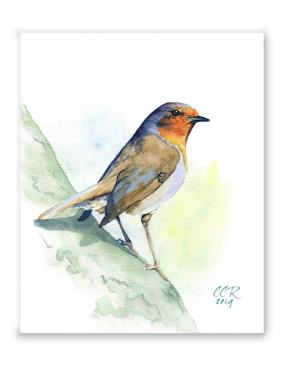 Robin Watercolor Bird Art Print by Cheryl Casey