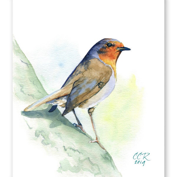 Robin Watercolor Bird Art Print by Cheryl Casey