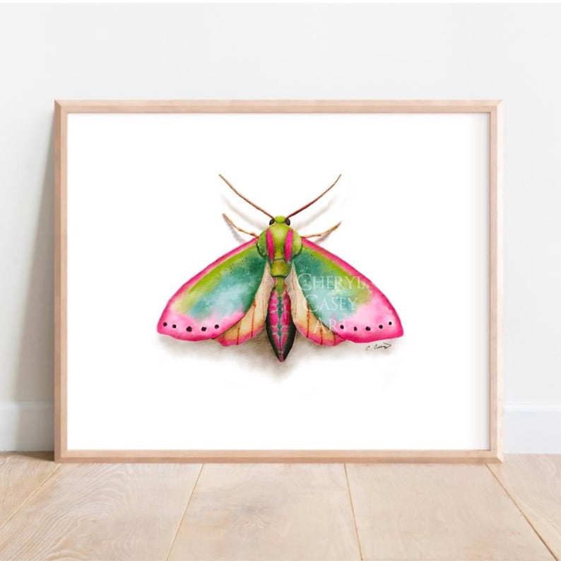 Colorful Moth Art Print | Cute Insect Art | Kids Bug Wall Decor | From ...