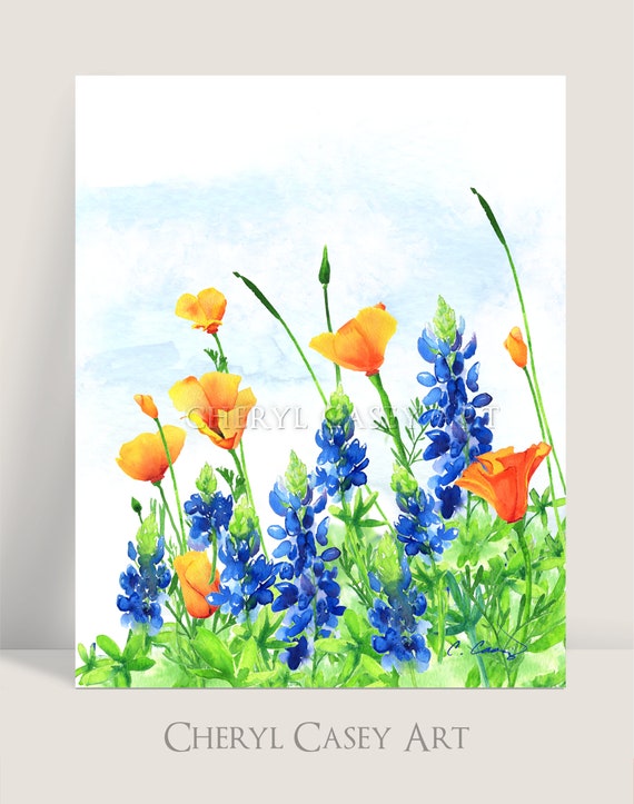 Texas Bluebonnets California Poppies Field Art Print from Watercolor Painting by Cheryl Casey, blue and orange state wildflowers