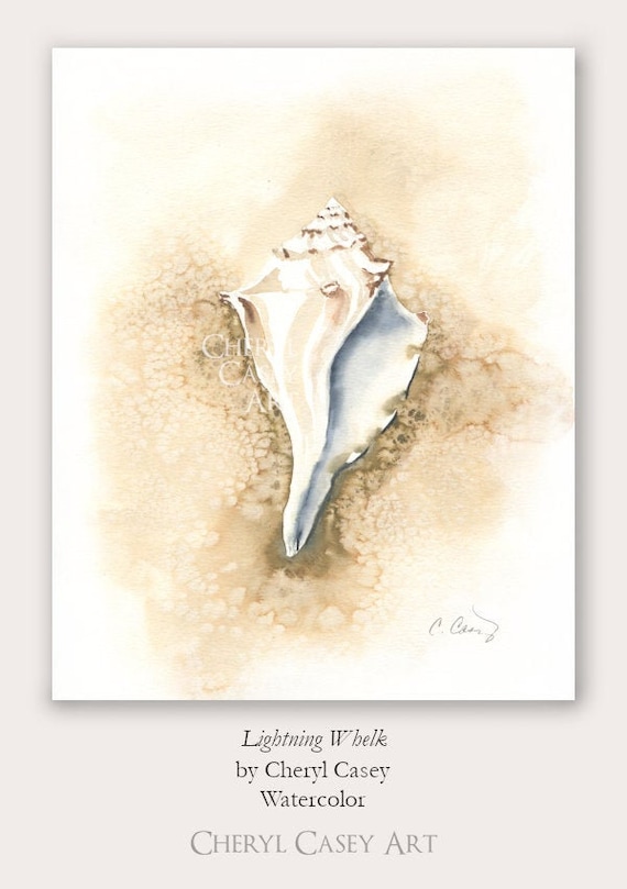 Seashell Art Decor, Coastal Wall Art, Neutral Beach Print from Watercolor Painting by Cheryl Casey, Lightning Whelk sea shell