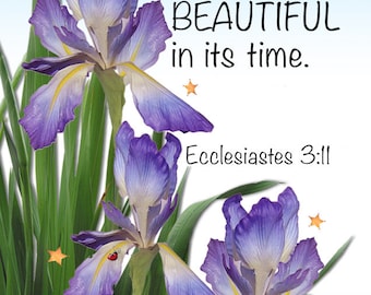 Magnet - God makes all things Beautiful...Bible Verse