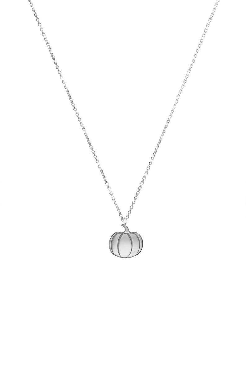 Op de afbeelding: Een zilveren ketting met een klein, zilveren pompoen hanger.