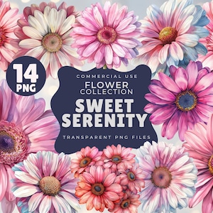 Pink Daisy Clipart, 14 PNG Daisies, Floral Digital Download, Commercial Use Flower Clipart