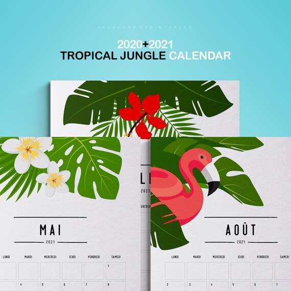 Calendrier 2023 Tropical 2020 2021 Printable Calendar Jungle Tropical Calendar | Etsy Australia