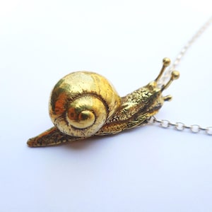 May include: A gold-toned snail pendant necklace. The snail is detailed with a textured shell and a delicate body. The necklace is made of a silver chain.