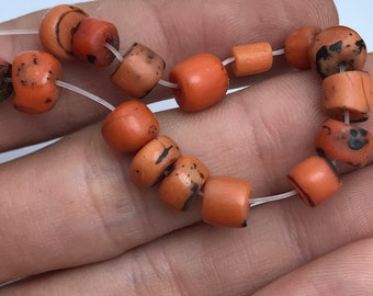 vintage corail vegetal moroccan kardon corail