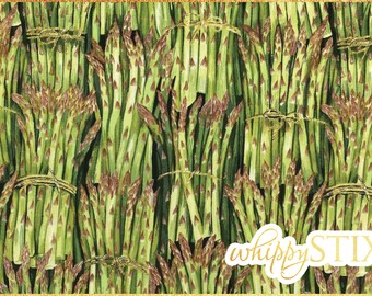 Cook asparagus vegetables food kitchen Makower fabric