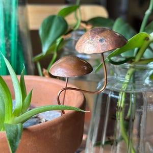 Copper Mushroom