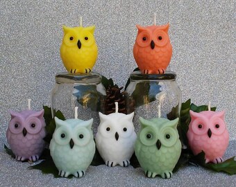 Owl Bathroom Decor Etsy