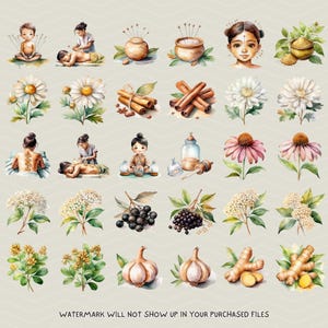 K&ouml;nnte beinhalten: Aquarellillustrationen zu Wellness und Naturheilkunde. Das Bild zeigt Darstellungen von Akupunktur, Massage, Blumen, Gew&uuml;rzen wie Zimt und Ingwer, Knoblauch und Beeren. Das Gesamtthema ist ganzheitliche Gesundheit und Wohlbefinden.