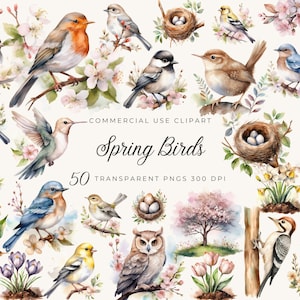 50 printemps oiseaux Clipart graphique PNG, belle fleur de printemps Illustration aquarelle oiseau sur une branche de fleurs de cerisier fabrication de cartes d'art mural