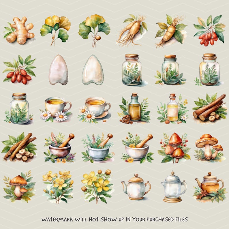 K&ouml;nnte beinhalten: Aquarellillustrationen verschiedener Kr&auml;uterelemente, darunter Ingwer, Ginkgobl&auml;tter, Ginseng, Goji-Beeren und Gl&auml;ser mit Kr&auml;utern. Au&szlig;erdem sind Teetassen, &auml;therische &Ouml;lflaschen, Zimtstangen, M&ouml;rser und St&ouml;&szlig;el, Pilze, Blumen und Teekannen abgebildet.