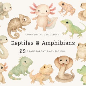 May include: A collection of watercolour illustrations of reptiles and amphibians, such as a tortoise, chameleon, axolotl, frog, snake, lizard, and cobra. The image includes the text "Reptiles & Amphibians" and "23 Transparent PNGs 300 DPI".