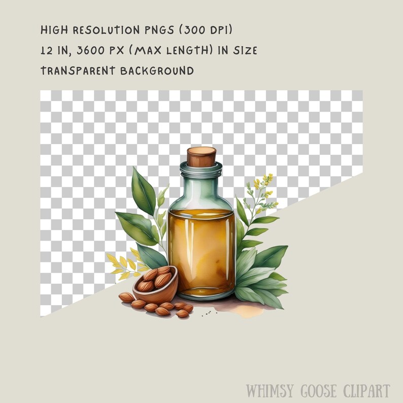 K&ouml;nnte beinhalten: Aquarell-Illustration einer Glasflasche mit bernsteinfarbener Fl&uuml;ssigkeit, einem Korken und einer Holzschale mit Mandeln. Gr&uuml;ne Bl&auml;tter und gelbe Zweige umgeben die Flasche. Der Text im Bild lautet: HOCHAUFL&Ouml;SENDE PNGS (300 DPI) 12 IN, 3600 PX (MAX. L&Auml;NGE) IN GR&Ouml;SSE TRANSPARENTER HINTERGRUND.