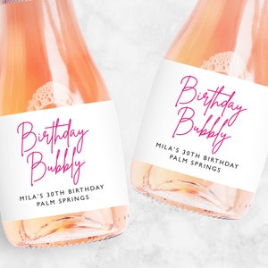 Hot Pink Birthday Bubbly Champagne Label, Party Favors, Mini or Full