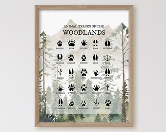 Animal Tracks of the Woodlands, Animal Foot Prints, Boy Woodland Nursery Prints, Cabin Wall Decor, Nursery Wall Art, Woodland Nursery Decor,