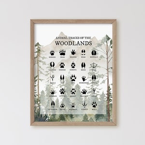 Animal Tracks of the Woodlands, Animal Foot Prints, Boy Woodland Nursery Prints, Cabin Wall Decor, Nursery Wall Art, Woodland Nursery Decor,