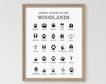 Animal Tracks of the Woodlands, Animal Foot Prints, Boy Woodland Nursery Prints, Cabin Decor, Nursery Wall Art, Woodland Nursery Decor,