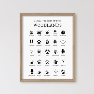 Animal Tracks of the Woodlands, Animal Foot Prints, Boy Woodland Nursery Prints, Cabin Decor, Nursery Wall Art, Woodland Nursery Decor,